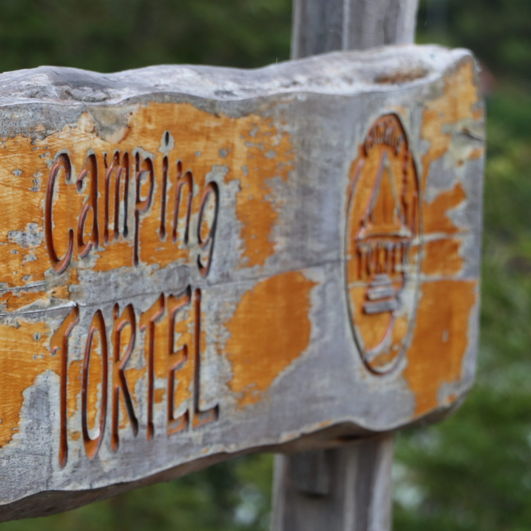 ROTULO DE MADERA TORTEL