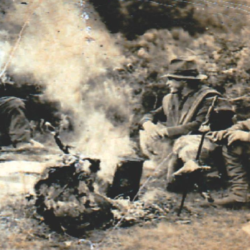 HISTORIA DE TORTEL